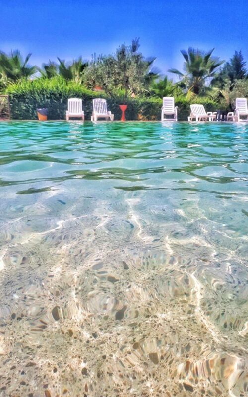 42366712_1097488133740038_7106776938949115904_n